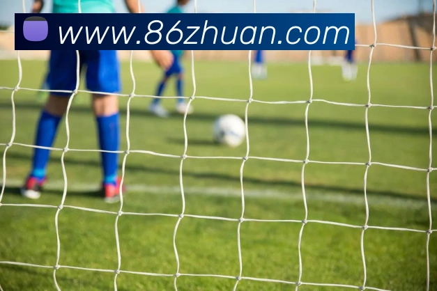 九游j9官网首页进入客服平台生态图